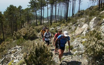 Trekking mare-monti a Levanto: l’anello del Monte Bardellone